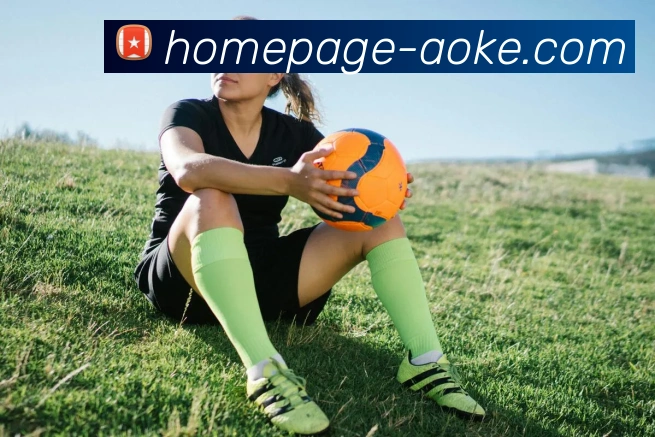 澳客平台生态图