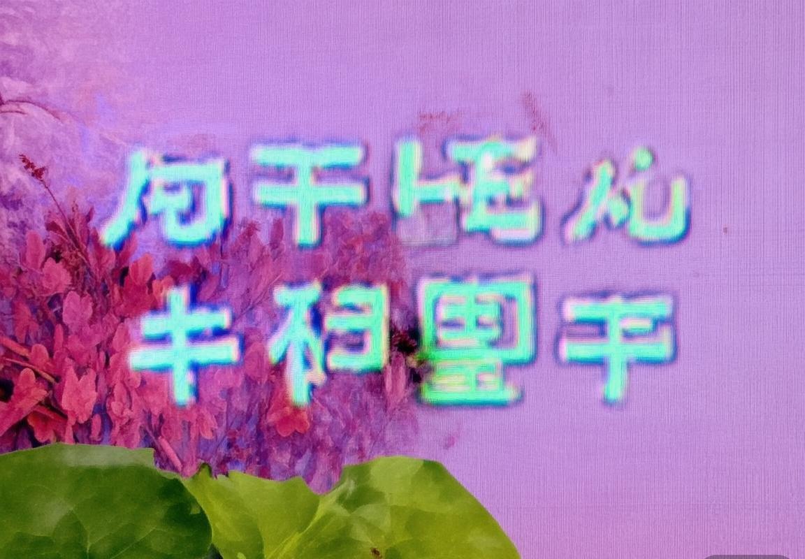 俄罗斯与比利时足球对决：历史回顾与未来展望